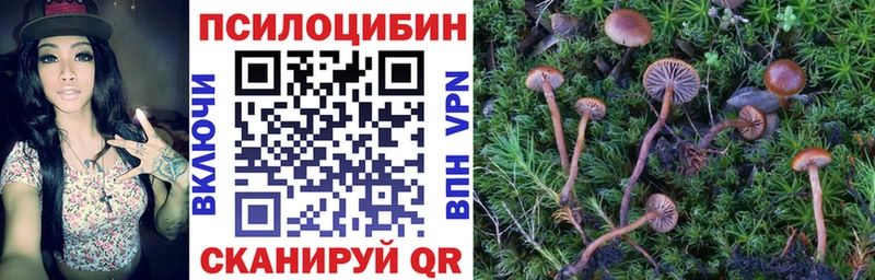 ссылка на мегу ССЫЛКА  Омутнинск  Псилоцибиновые грибы ЛСД 